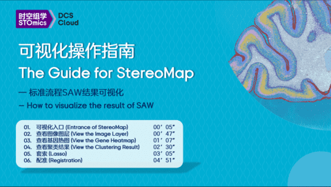 The Guide for StereoMap