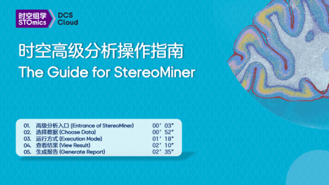 The Guide for StereoMiner